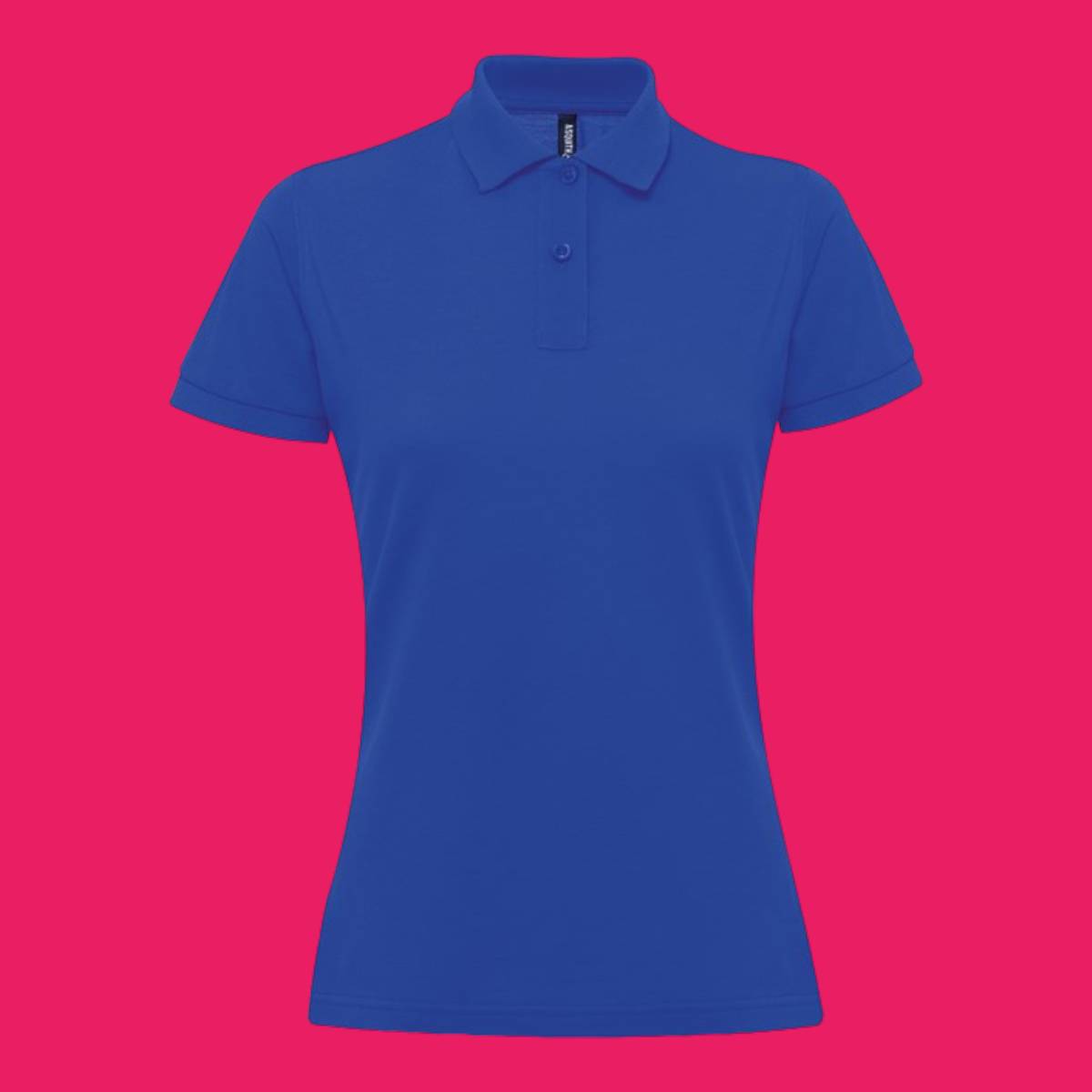 Asquith and Fox Womens Polycotton Blend Polo Royal 2XL