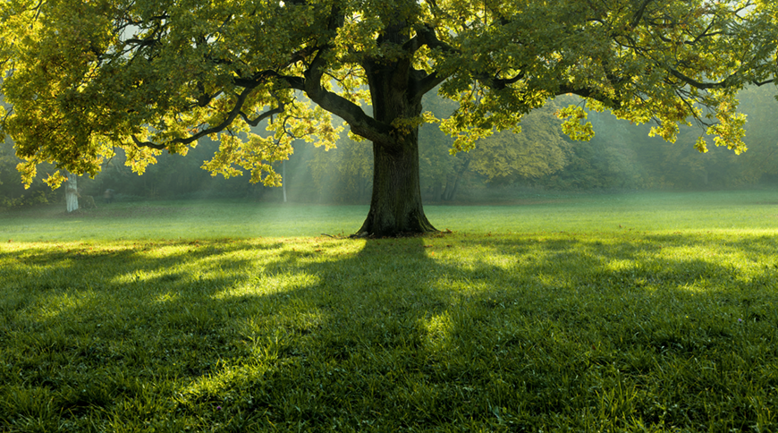 Printing can be environmentally friendly